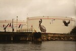 Two Citgo gas reservoirs stand painted with illustrations of different bird species at the Port of Tampa