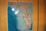 A map of Florida depicts various green location pins during a Florida Ornithological Society meeting