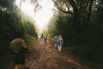 Florida Ornithological Society members embark on a field trip at the Bolens Bluff Trail in Micanopy, Florida by Florida Ornithological Society