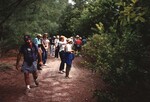 Eugene Stoccardo hikes toward the camera while a crowd of Florida Ornithological Society members observes something in the background