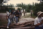 A dozen Florida Ornithological Society members scale a fallen tree during a birding trip in the Bahamas by Florida Ornithological Society