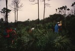 A seven-member group hikes through the tropical forests of the Bahamas during a Florida Ornithological Society birding trip by Florida Ornithological Society