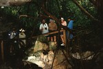 Eugene Stoccardo, Pat Anderson, Wes Biggs, and Lyn Atherton gaze into the mouth of Owl's Hole by Florida Ornithological Society