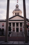 A closeup view of the Old Florida Capitol building's steps in Tallahassee, Florida by Florida Ornithological Society