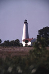 St. Marks Lighthouse stands in the distance across a grassy field by Florida Ornithological Society
