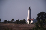St. Marks Lighthouse stands in the distance across a grassy field from behind a cluster of palm trees
