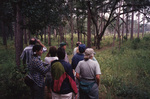 Judy Bryan and nine other birders observe a patch of woods during a trip in Tallahassee, Florida by Florida Ornithological Society