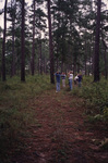A small birding group observes the trees overhead with binoculars during a trip in Tallahassee, Florida by Florida Ornithological Society
