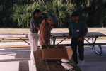 Bill Pranty, Bruce Anderson, and Eugene Stoccardo arrange bird skins at a Florida Ornithological Society meeting in Titusville, Florida