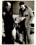 Thomas L. Francis and Horace Loftin Examine Dead Brown Pelican by Thomas L. Francis