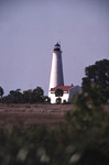 St. Marks Lighthouse Stands in Distance Across Grassy Field by Florida Ornithological Society