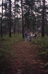 Small Birding Group Observes Trees Overhead with Binoculars During Trip in Tallahassee by Florida Ornithological Society