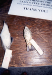 Two Bird Skins of Different Colors and Sizes Sit on Display for Quiz in St. Petersburg by Florida Ornithological Society