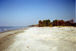 Shoreline Near Apalachicola, Florida, A by Pamela J. Bowen