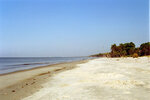 Shoreline Near Apalachicola, Florida, B by Pamela J. Bowen