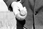 Hand Holds Snail Shell in Colón, Panama by Unknown