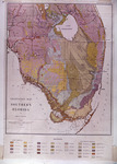 Vegetation Map of South Florida, 1943 by John H. Davis Jr., William Dean Wilson, and Florida Geological Survey