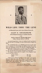 Wild Life Thru the Lens: February 23 by Allan Dudley Cruickshank