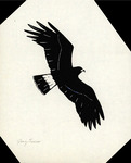 Correspondence: Joey Sacco, Signed FFN Cover Art, November 1977 by Joey Sacco and Fred E. Lohrer
