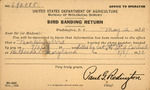 Bird Banding Return, W. M. Davidson, Mockingbird, May 12, 1930 by William M. Davidson