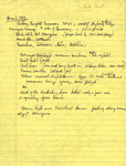 Handwritten Letter to Rich Paul, Courtney Campbell Causeway Sightings, June 7, 1984 by Unknown