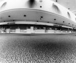 Tampa International Airport terminal, interior A by Skip Gandy