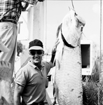 A contestant stands next to tarpon with hand near pectoral fin