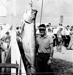 A contestant stands next to tarpon with hand near dorsal fin