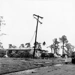 Side yard after tornado by Skip Gandy