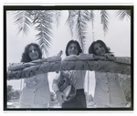 The three-sibling band The Fremis poses against a palm trees, A