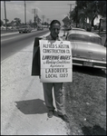 An Alfred S. Austin Construction Company employee strikes for wages and working conditions in Tampa, Florida, A
