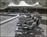 A row of four women sunbathe by the pool at Bay Pointe Condominiums in Tampa, Florida, A