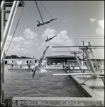 Swimmers Jumping Off Diving Board at Brandon Sports and Aquatic Center, Brandon, Florida, C by Skip Gandy