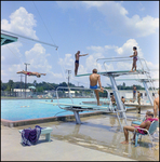 Swimmers Jumping Off Diving Board at Brandon Sports and Aquatic Center, Brandon, Florida, D by Skip Gandy