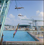 Swimmers Jumping Off Diving Board at Brandon Sports and Aquatic Center, Brandon, Florida, F by Skip Gandy