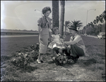 Couple and Young Daughter Holding Bougainvillea Flowers, B by Skip Gandy