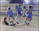 Children Playing Soccer on a Field, Tampa, Florida, G by Skip Gandy