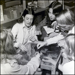 Students Experimenting With Magnets, Berkeley Preparatory School, Tampa, Florida, C by Skip Gandy