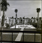 A Poolside View of Beverly Apartments in Tampa, Florida, A by Skip Gandy