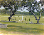 A Small Cemetery With an Angel Statue in Beverly Hills, Florida, A by Skip Gandy