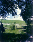 Sprawling Gated Pasture in Beverly Hills, Florida, B by Skip Gandy