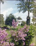 Lush Garden With Pink Crape Myrtle Shrubs in Beverly Hills, Florida, A by Skip Gandy