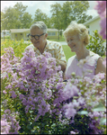 Couple Smiles and Tends to Garden in Beverly Hills, Florida, D by Skip Gandy