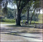 Couple Rides Bicycles Through Park in Beverly Hills, Florida, A by Skip Gandy