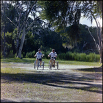 Couple Rides Bicycles Through Park in Beverly Hills, Florida, D by Skip Gandy