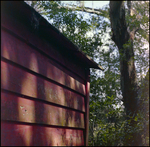 Corner of a Red Paneled Building in Beverly Hills, Florida by Skip Gandy