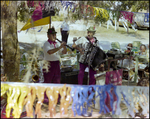 Walt Baran's Orchestra Performs at German American Social Club Festival in Beverly Hills, Florida by Skip Gandy