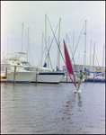 Windsurfer Sails at Burnt Store Marina Seafood Festival in Punta Gorda, Florida, A by Skip Gandy