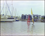 Two Windsurfers Sail at Burnt Store Marina Seafood Festival in Punta Gorda, Florida, B by Skip Gandy