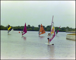 Five Windsurfers Sail at Burnt Store Marina Seafood Festival in Punta Gorda, Florida by Skip Gandy